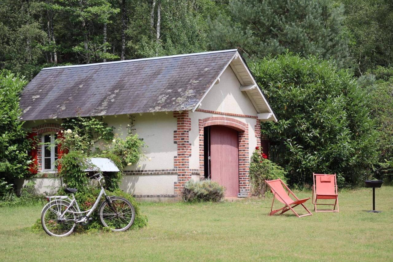 فيلا Gite-Region Centre-Sologne 41 Proche Lamotte Beuvron Nouan-le-Fuzelier المظهر الخارجي الصورة